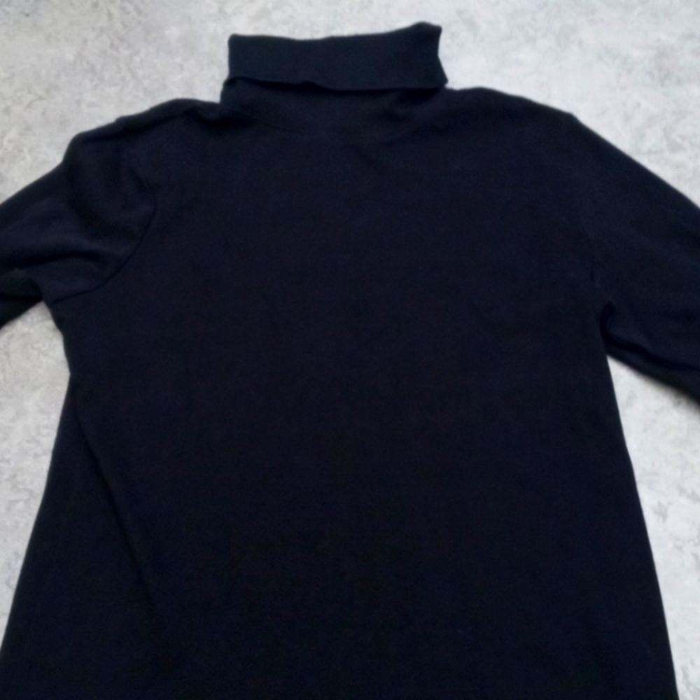 Karen Scott Turtleneck